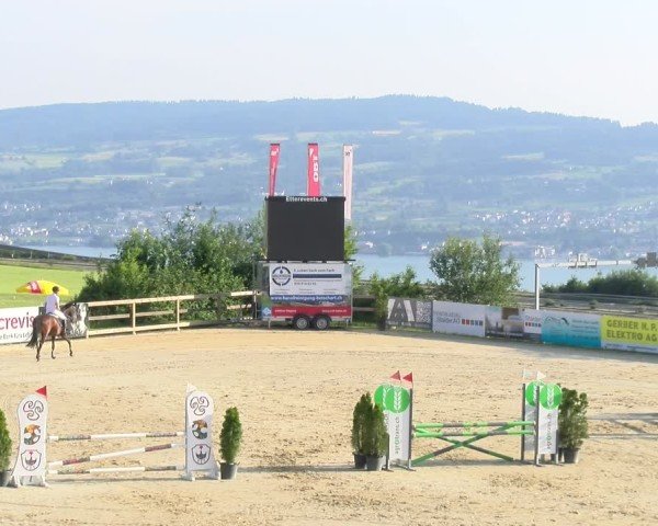 Reitturnier Wädenswil 2025