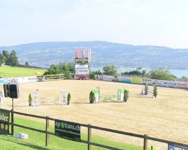 Reitturnier Wädenswil 2025