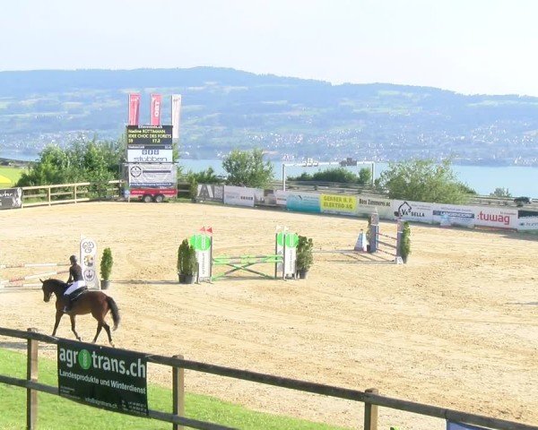 Reitturnier Wädenswil 2025
