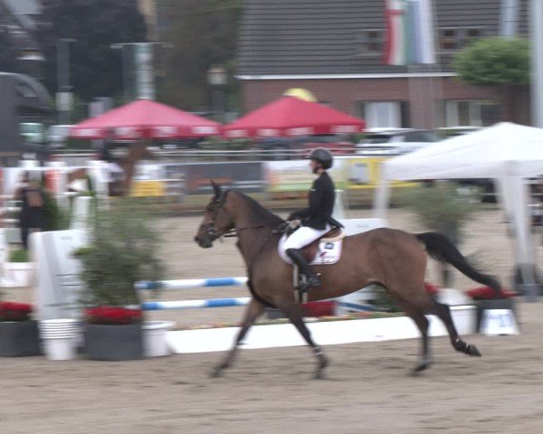 Reitturnier Langenfeld 2025