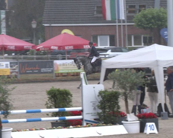 Reitturnier Langenfeld 2025