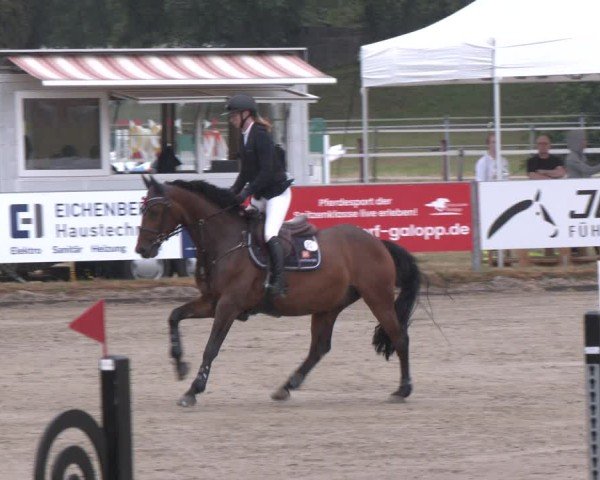 Reitturnier Langenfeld 2025