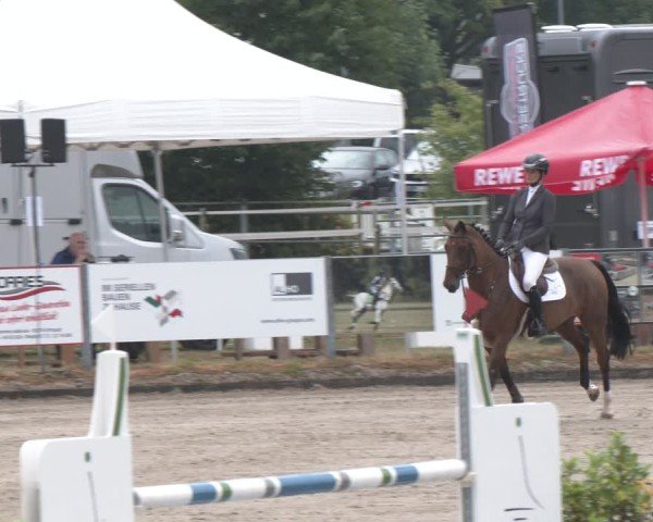 Reitturnier Langenfeld 2025