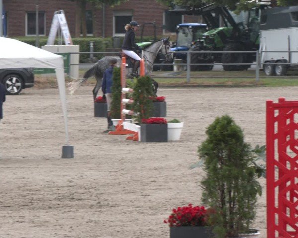 Reitturnier Langenfeld 2025