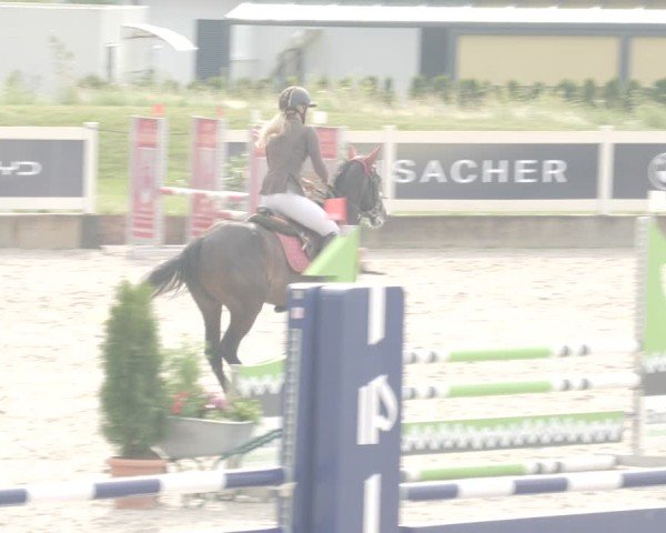 Reitturnier Babenhausen/Schw. 2025