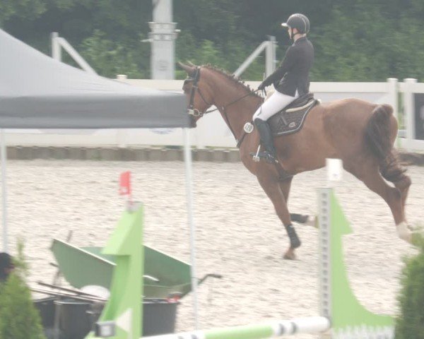 Reitturnier Babenhausen/Schw. 2025