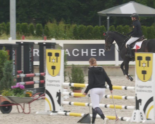 Reitturnier Babenhausen/Schw. 2025