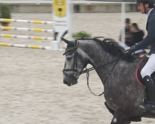 Reitturnier Babenhausen/Schw. 2025