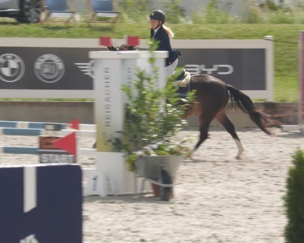 Reitturnier Babenhausen/Schw. 2025