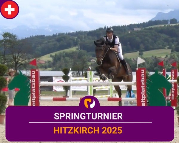 Reitturnier Hitzkirch 2025