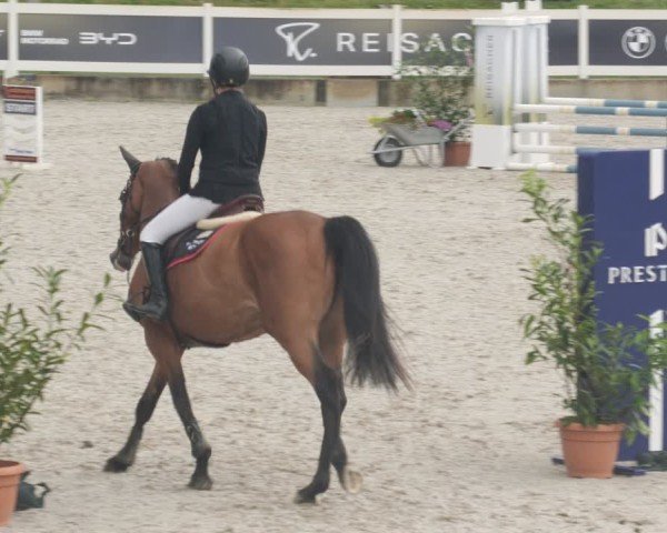 Reitturnier Babenhausen/Schw. 2025