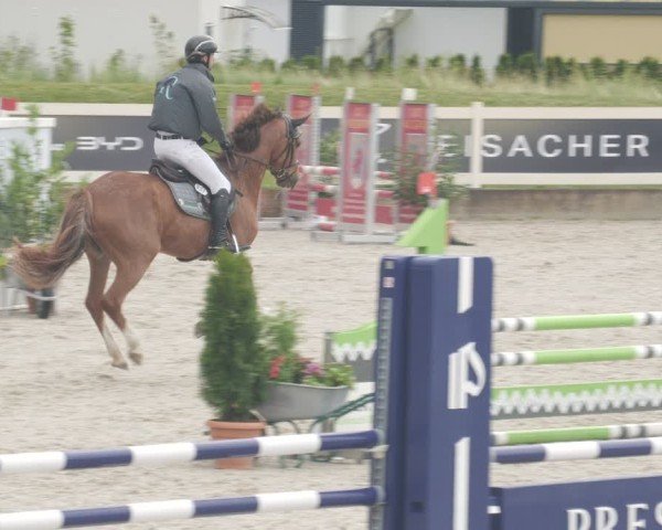 Reitturnier Babenhausen/Schw. 2025