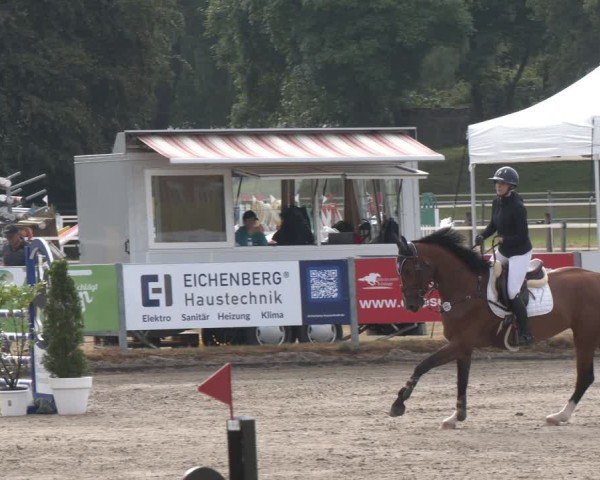 Reitturnier Langenfeld 2025