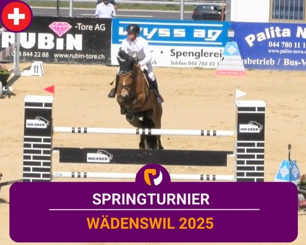Reitturnier Wädenswil 2025