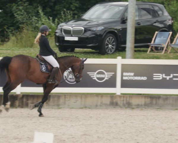Reitturnier Babenhausen/Schw. 2025