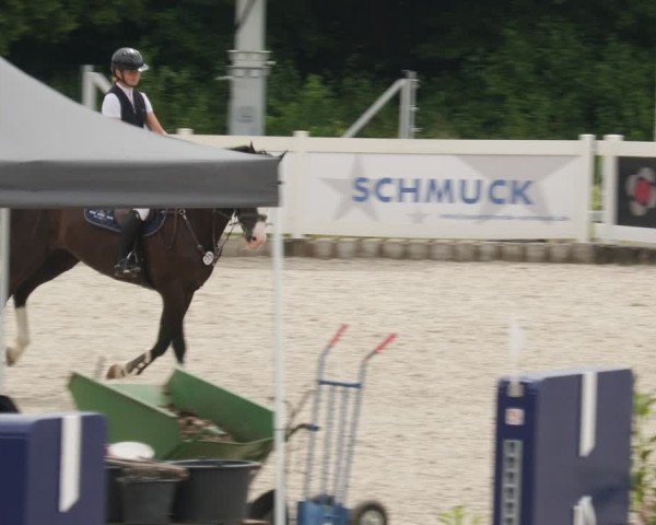 Reitturnier Babenhausen/Schw. 2025