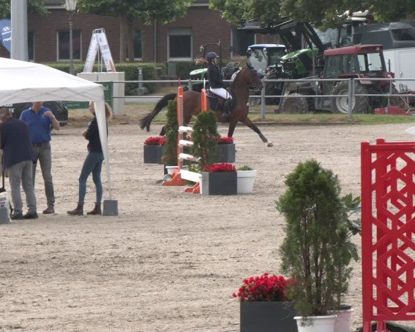 Reitturnier Langenfeld 2025