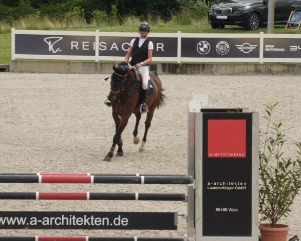 Reitturnier Babenhausen/Schw. 2025