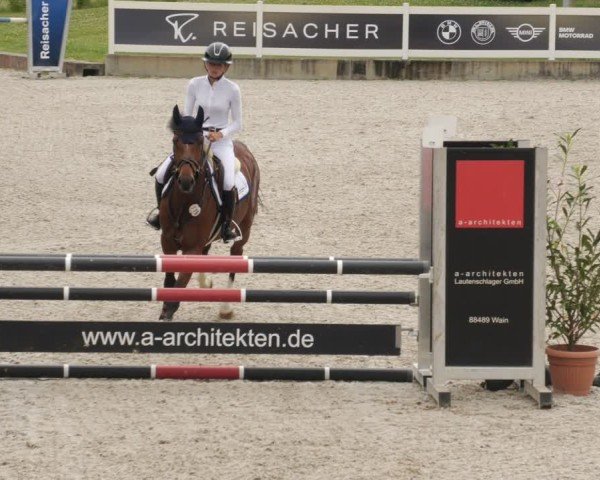 Reitturnier Babenhausen/Schw. 2025