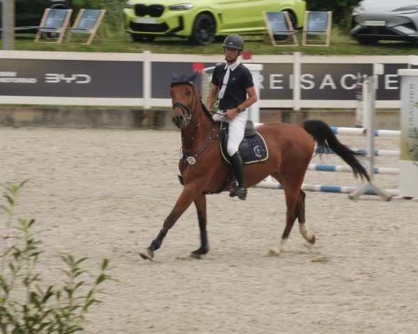 Reitturnier Babenhausen/Schw. 2025