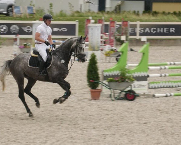 Reitturnier Babenhausen/Schw. 2025
