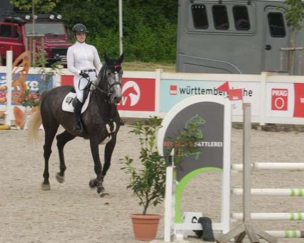 Reitturnier Babenhausen/Schw. 2025