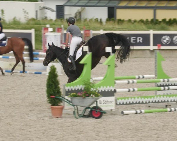 Reitturnier Babenhausen/Schw. 2025