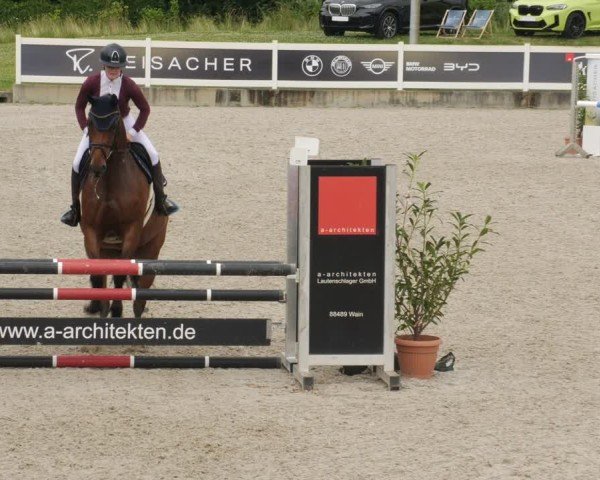 Reitturnier Babenhausen/Schw. 2025