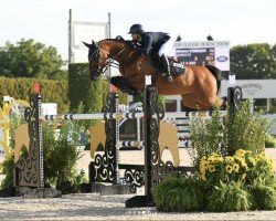 broodmare Casanyo PS (Oldenburg show jumper, 2015, from Casallco)