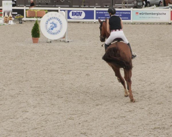 Reitturnier Babenhausen/Schw. 2025