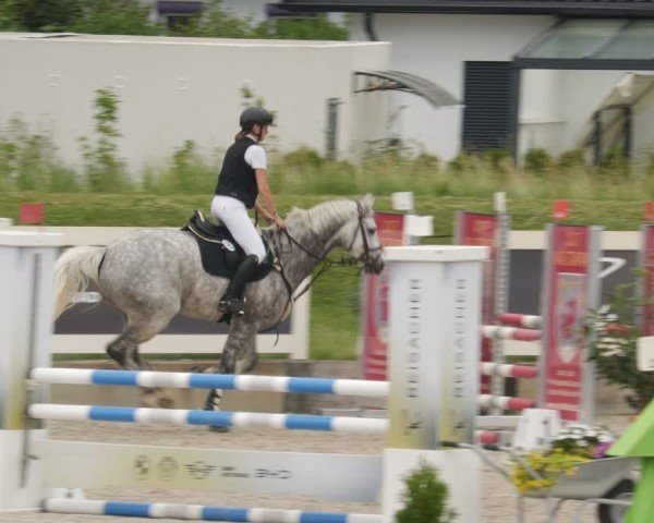 Reitturnier Babenhausen/Schw. 2025