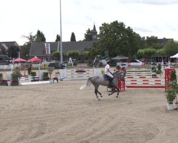 Reitturnier Langenfeld 2025