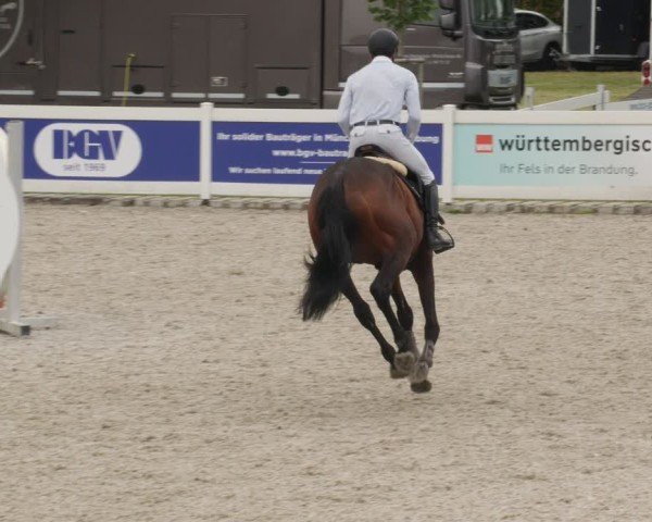 Reitturnier Babenhausen/Schw. 2025