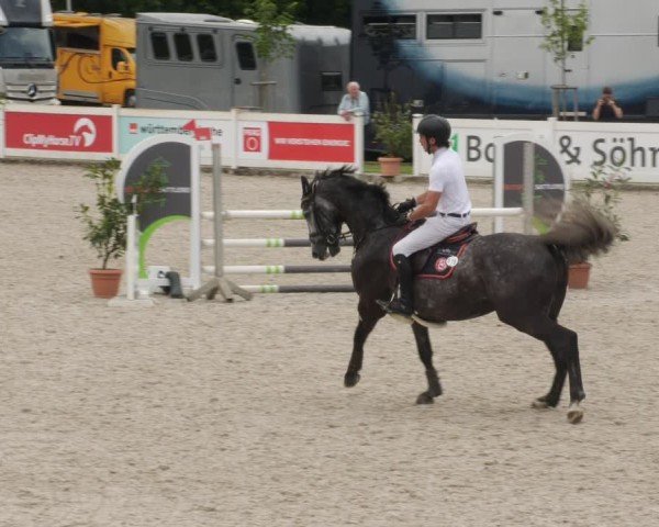 Reitturnier Babenhausen/Schw. 2025