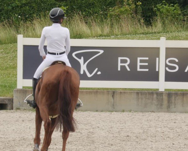 Reitturnier Babenhausen/Schw. 2025