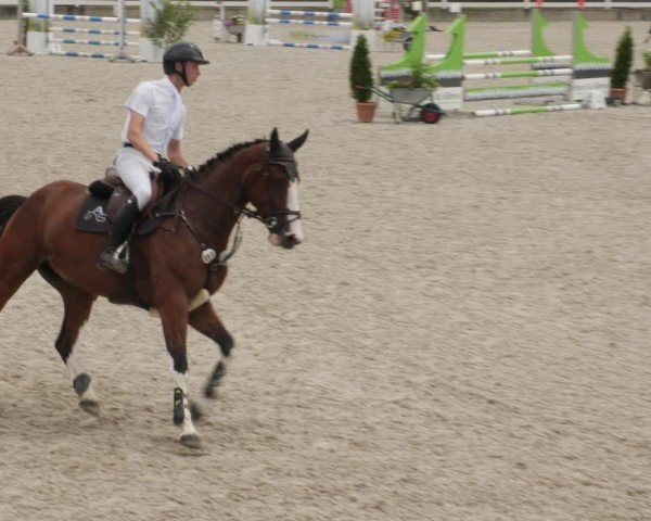 Reitturnier Babenhausen/Schw. 2025