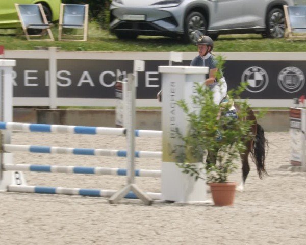 Reitturnier Babenhausen/Schw. 2025