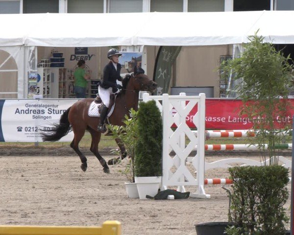 Reitturnier Langenfeld 2025