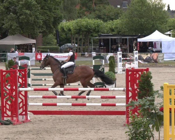 Reitturnier Langenfeld 2025