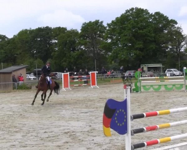 Coesfelder Reitertage 2014