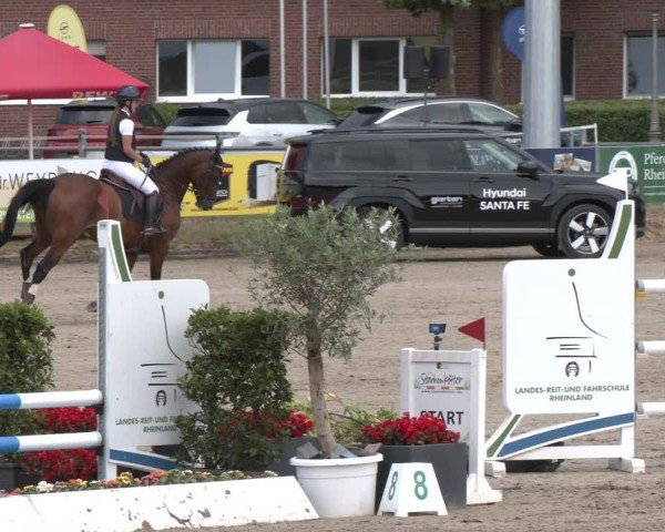 Reitturnier Langenfeld 2025