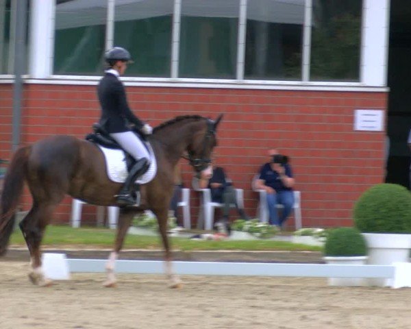 Reitturnier Langenfeld 2025