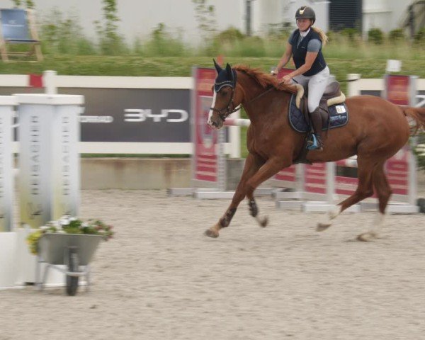 Reitturnier Babenhausen/Schw. 2025