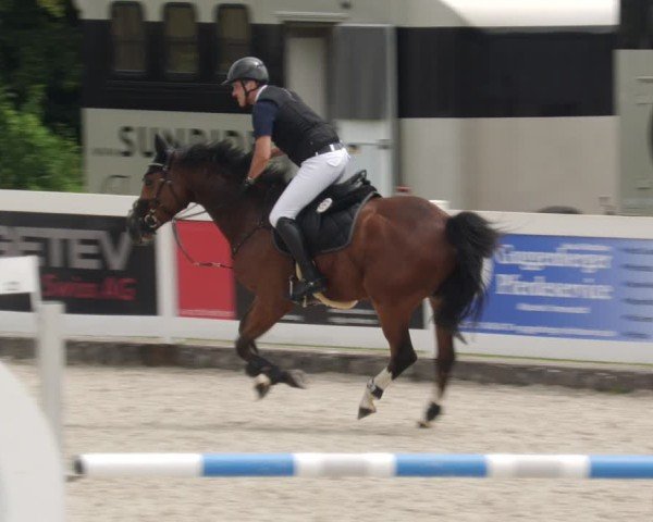 Reitturnier Babenhausen/Schw. 2025