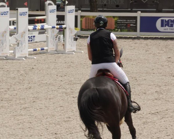 Reitturnier Babenhausen/Schw. 2025