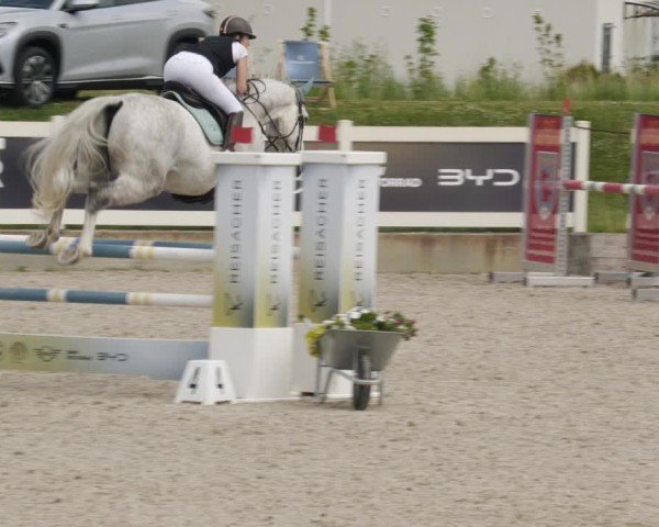 Reitturnier Babenhausen/Schw. 2025
