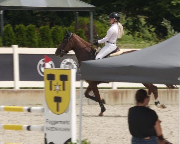 Reitturnier Babenhausen/Schw. 2025
