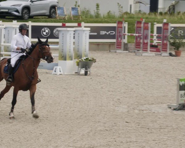Reitturnier Babenhausen/Schw. 2025