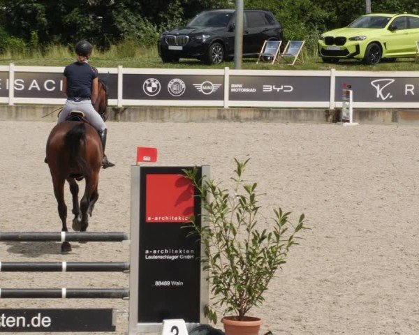 Reitturnier Babenhausen/Schw. 2025
