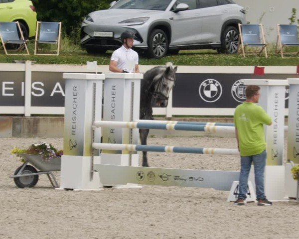 Reitturnier Babenhausen/Schw. 2025